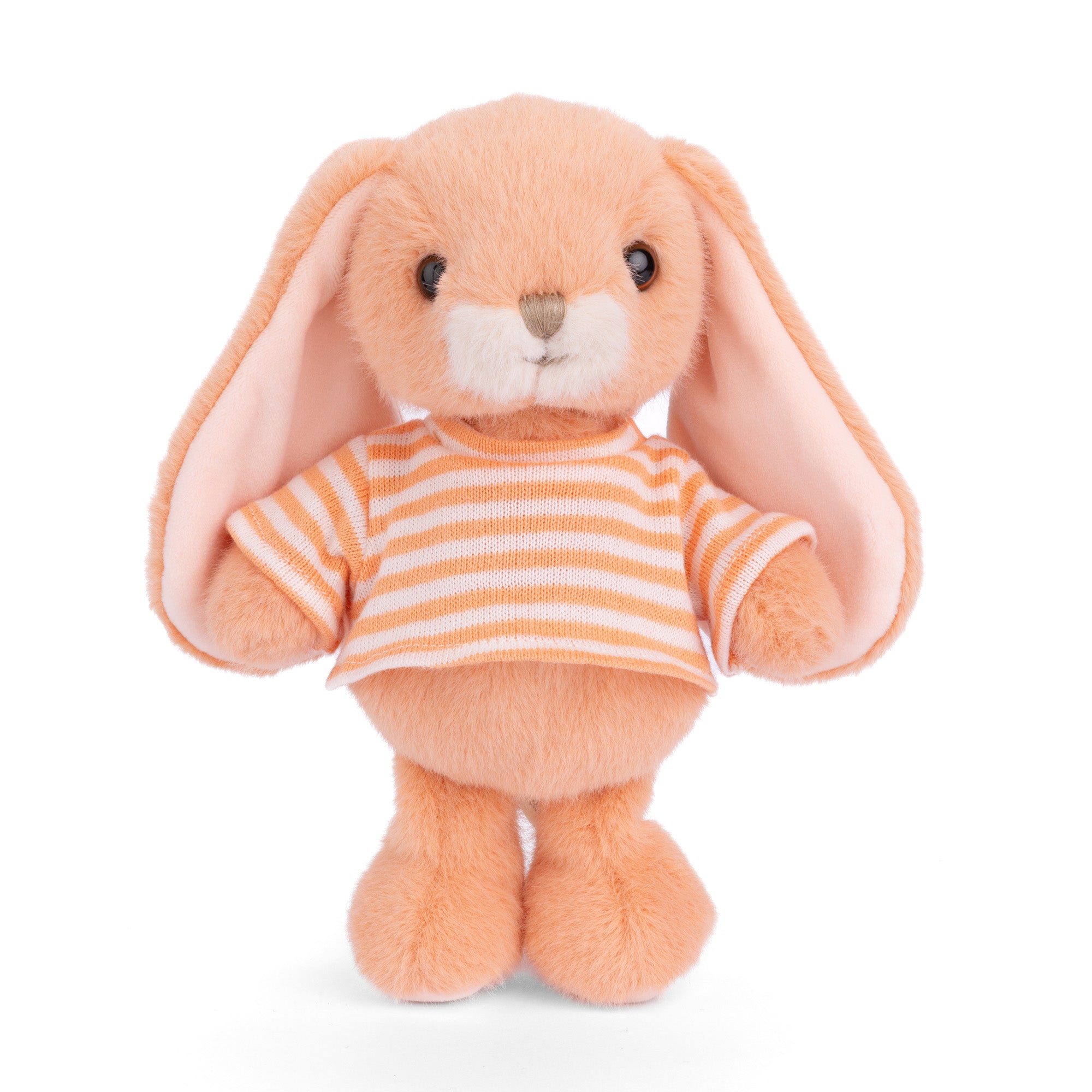 Bouncy Plush Bunny