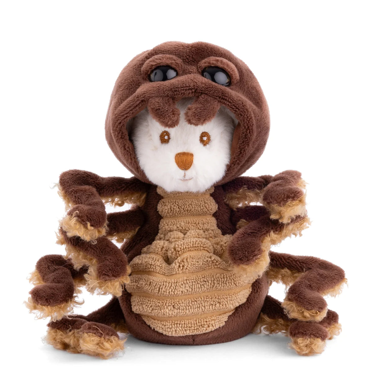 Ziggy Bear | Spider