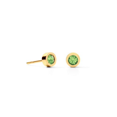 Sparkling Dot Gold Stud Earrings