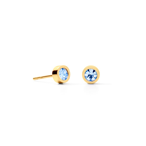Sparkling Dot Gold Stud Earrings