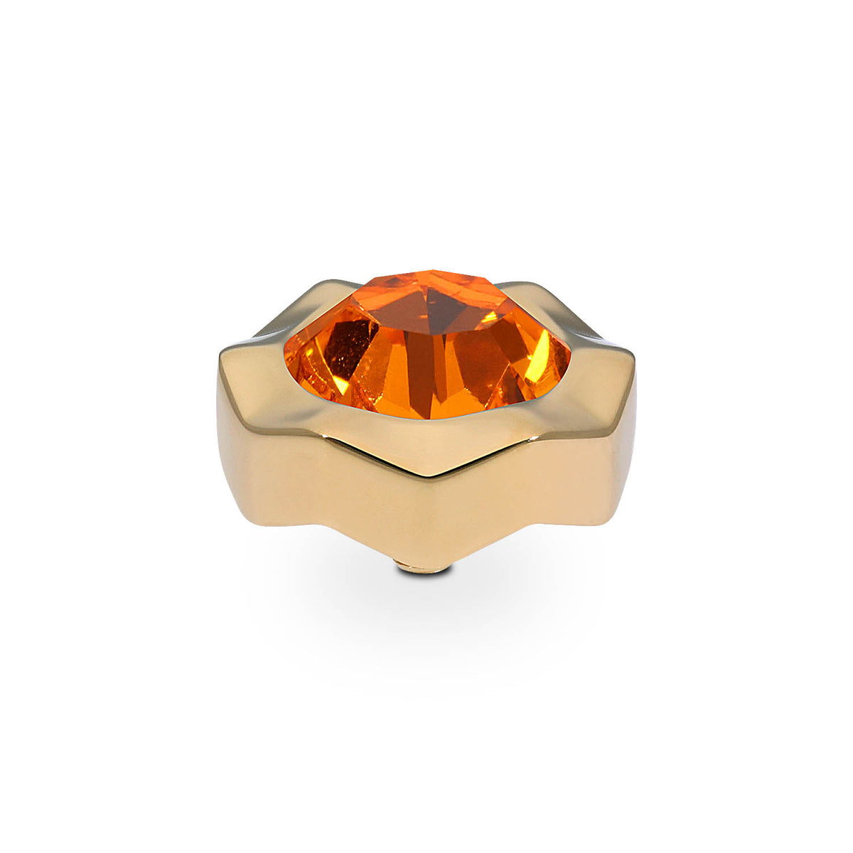 Gold Nemoli Top | 13mm