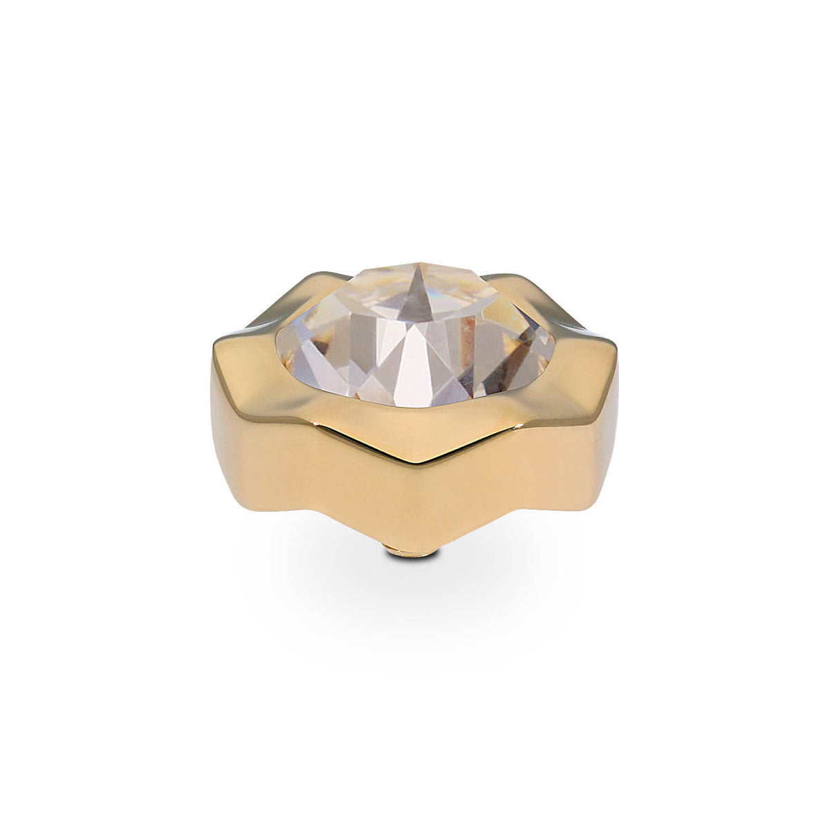 Gold Nemoli Top | 13mm