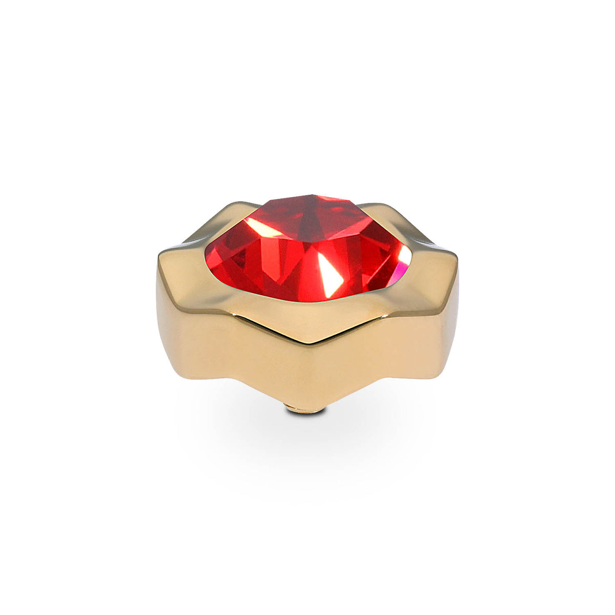 Gold Nemoli Top | 13mm