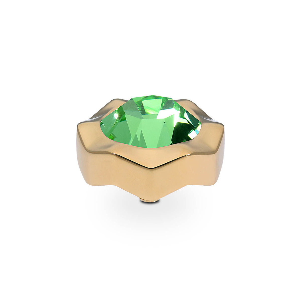Gold Nemoli Top | 13mm