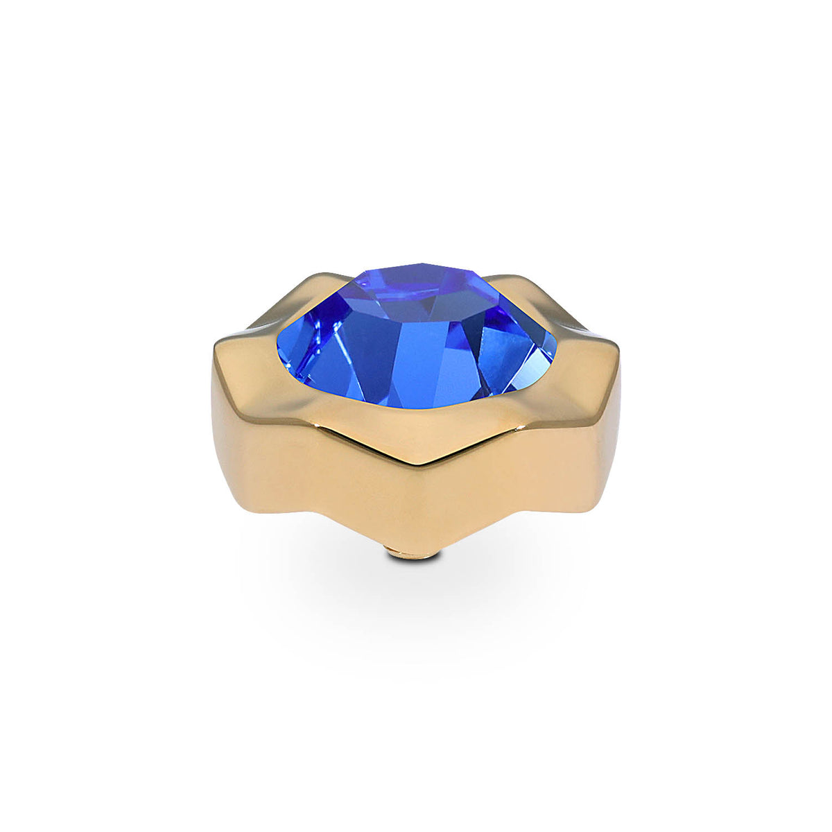Gold Nemoli Top | 13mm