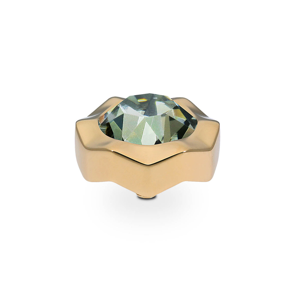 Gold Nemoli Top | 13mm
