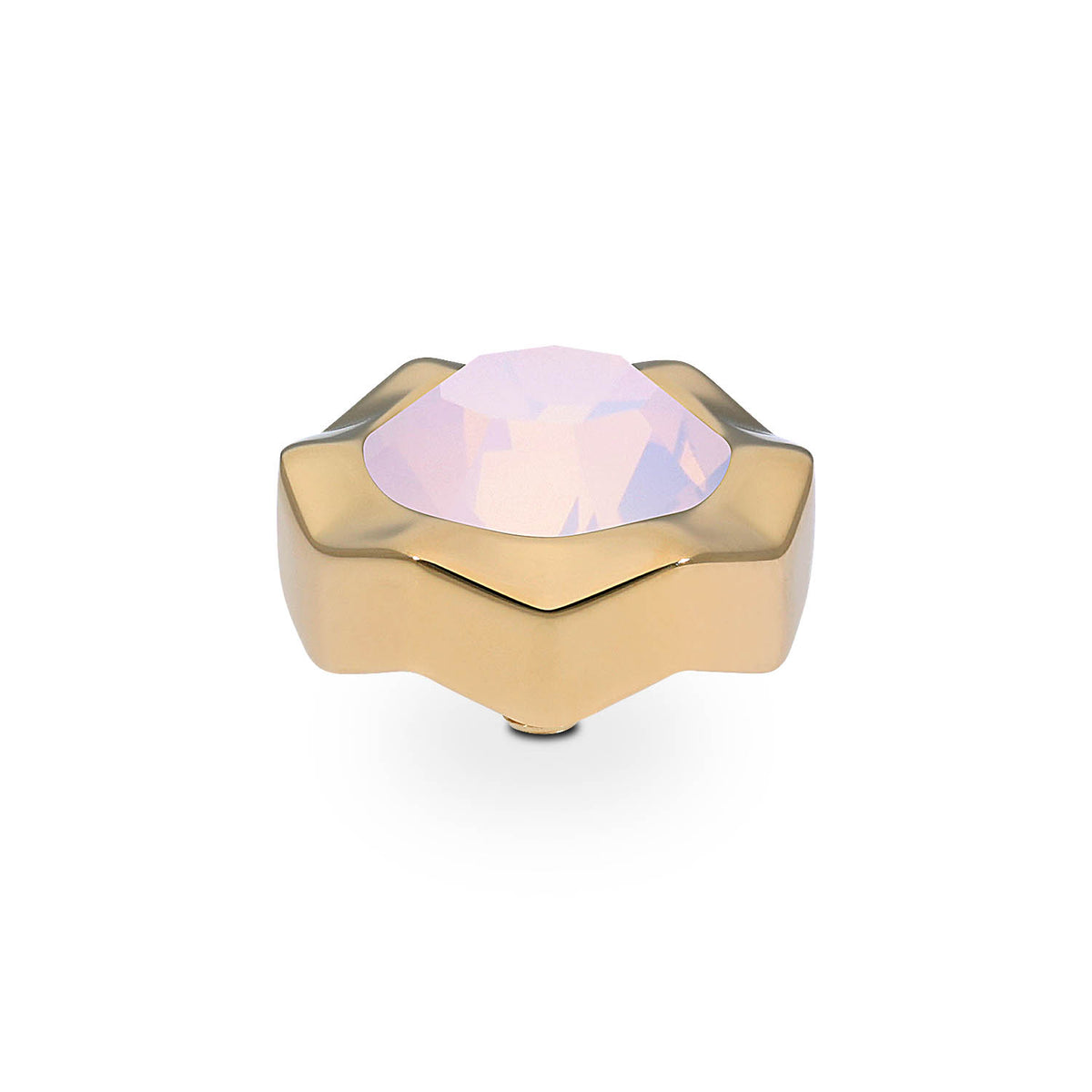 Gold Nemoli Top | 13mm
