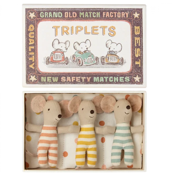 Baby Triplets in Matchbox