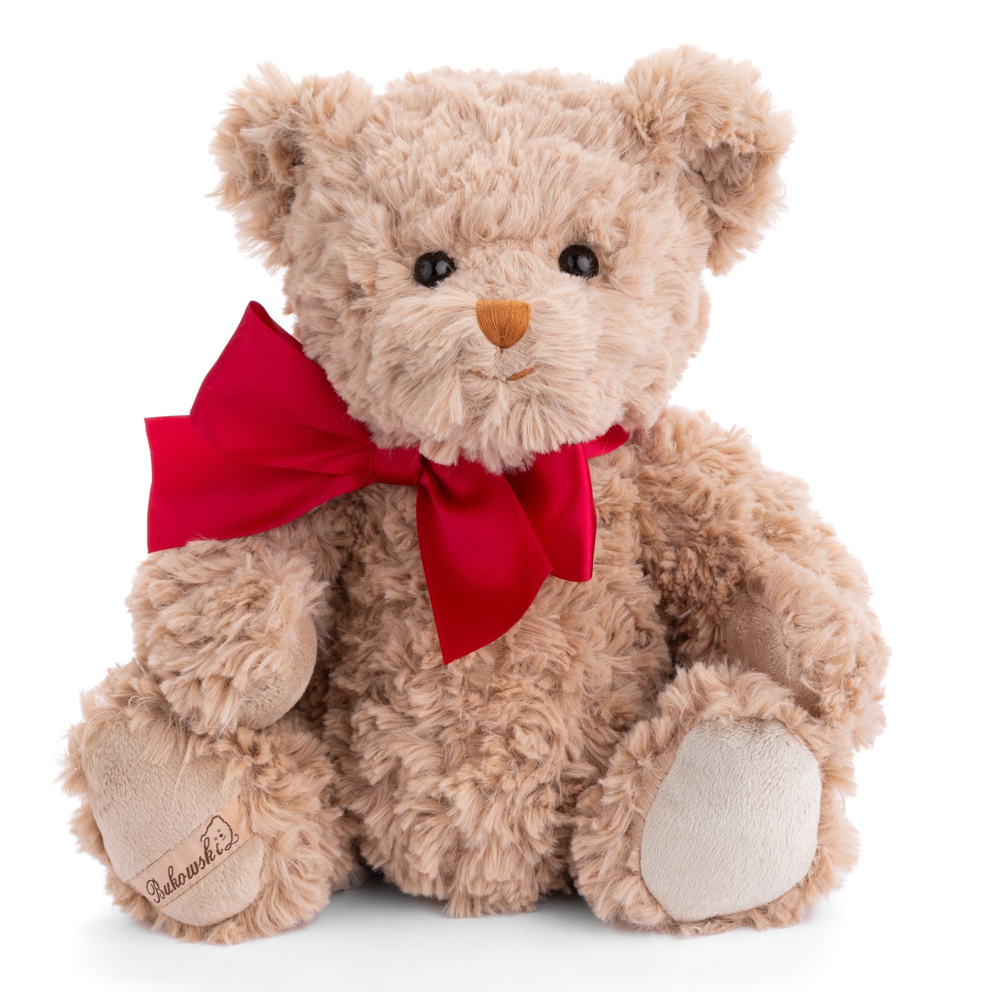 Christian Plush Bear